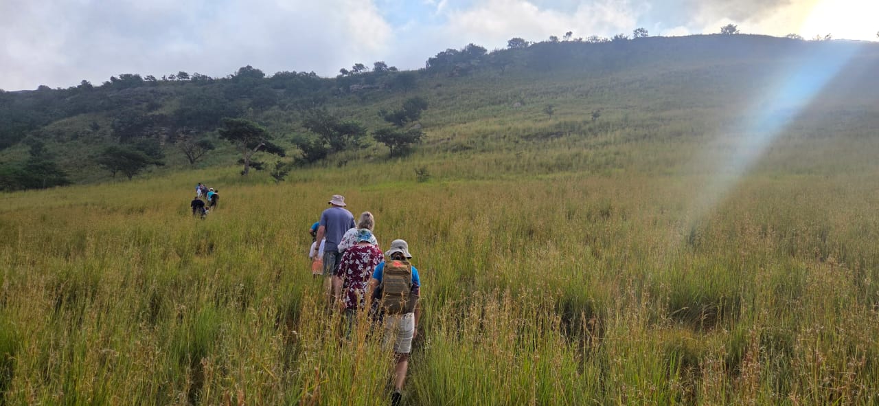 Group of hikers walking up a grassy hill towards a ridgeline at sunrise